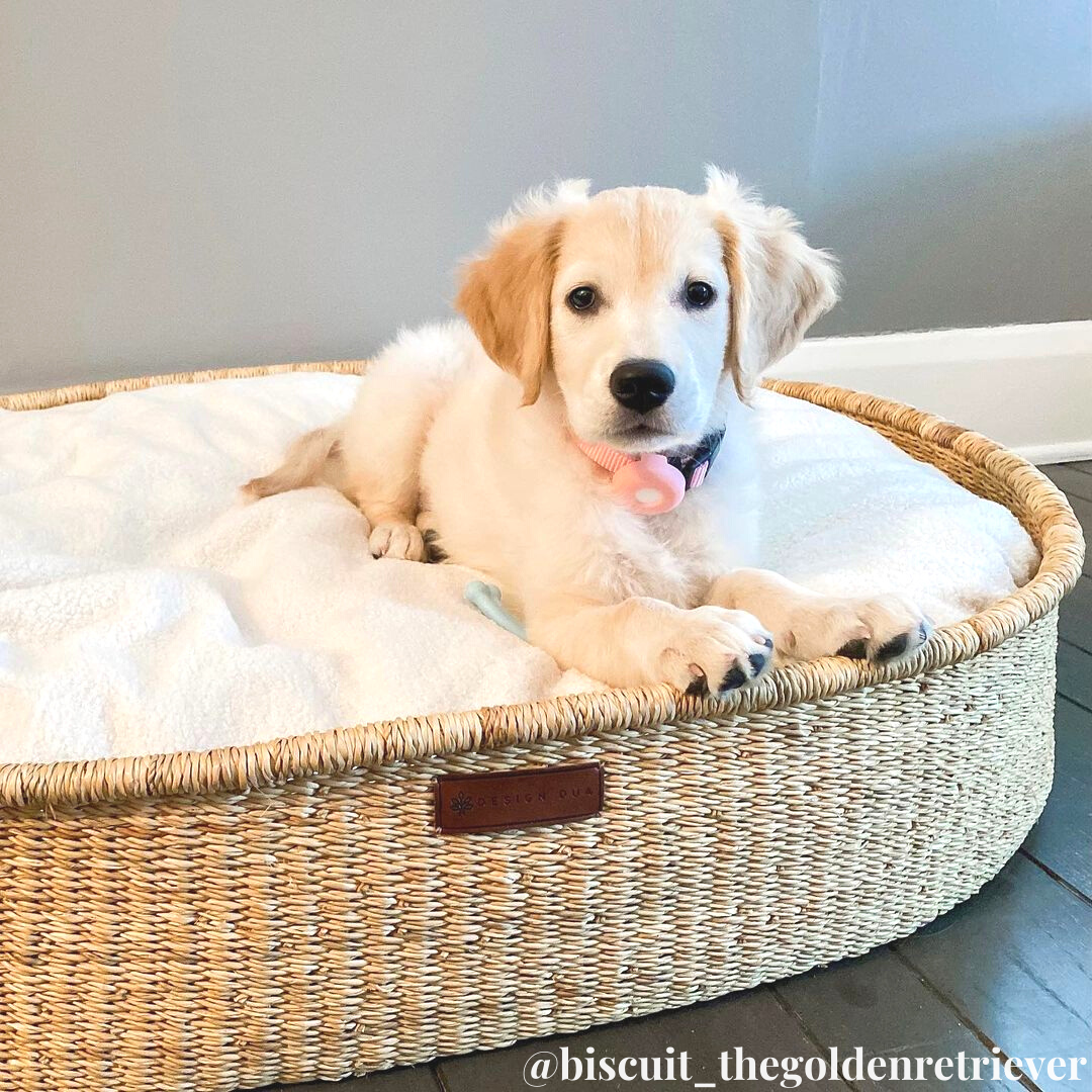 Rectangle Handwoven store Dog Basket, Dog Bed, Dog Furniture, Custom Dog Bed, Extra Large Dog Bed, Small Dog Bed, Puppy