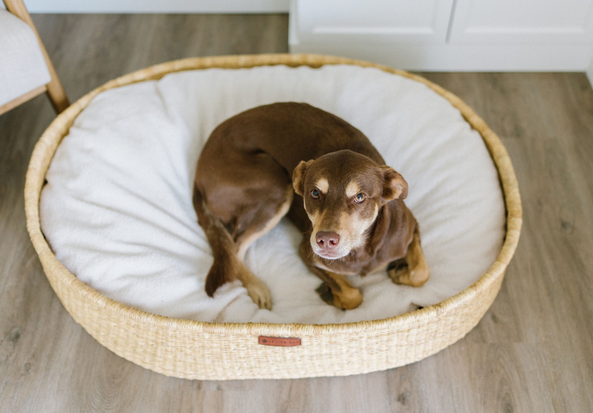 Rectangle Handwoven Dog Basket, Dog Bed, Dog popular Furniture, Custom Dog Bed, Extra Large Dog Bed, Small Dog Bed, Puppy