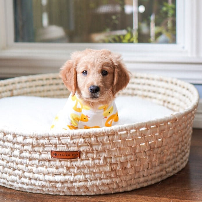 Dog Bed high quality Basket | Woven Basket for Dog