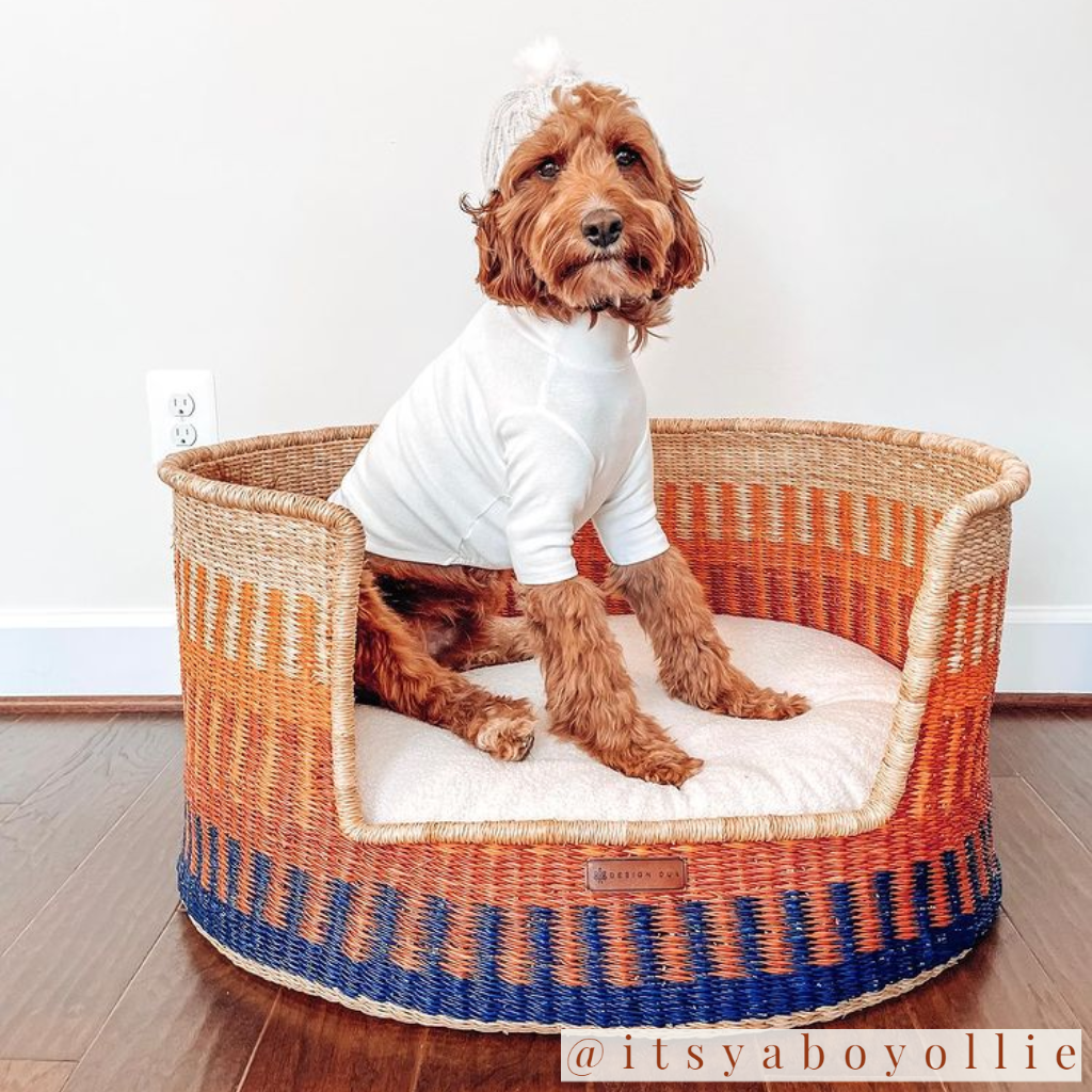 Design Dua Bear Dog Bed Mole